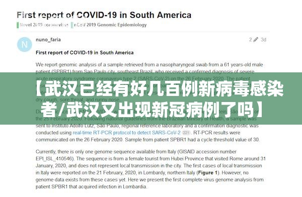 【武汉已经有好几百例新病毒感染者/武汉又出现新冠病例了吗】 【武汉已经有好几百例新病毒感染者/武汉又出现新冠病例了吗】