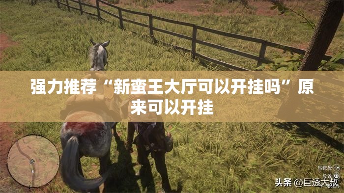 强力推荐“新蛮王大厅可以开挂吗	”原来可以开挂
