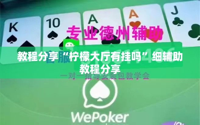 教程分享“柠檬大厅有挂吗”细辅助教程分享
