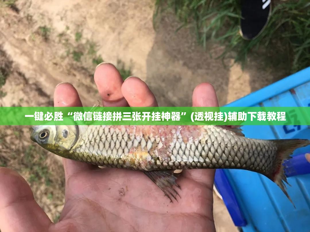 一键必胜“微信链接拼三张开挂神器”(透视挂)辅助下载教程