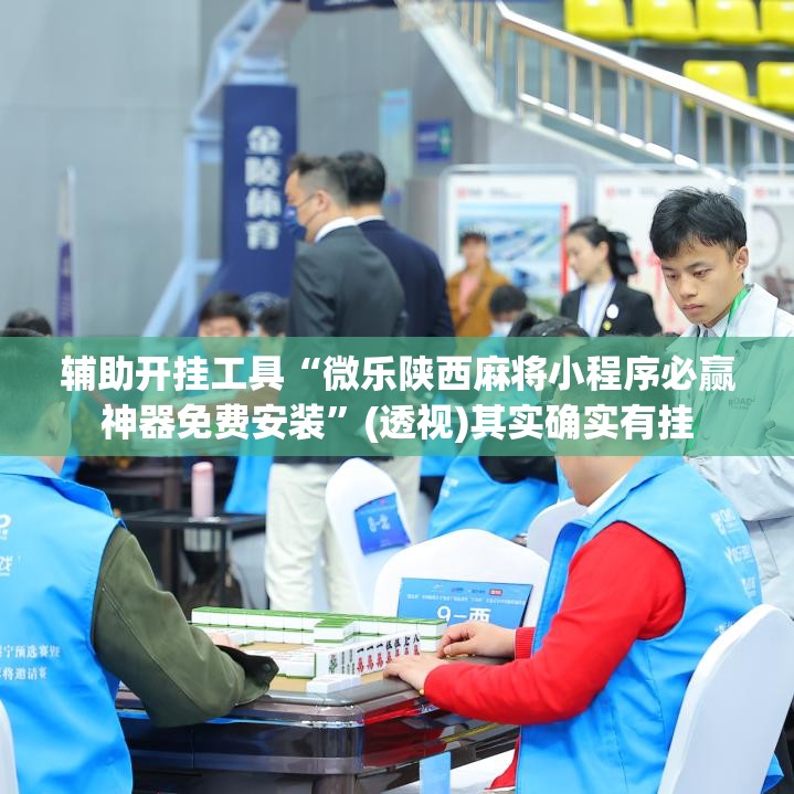 辅助开挂工具“微乐陕西麻将小程序必赢神器免费安装	”(透视)其实确实有挂