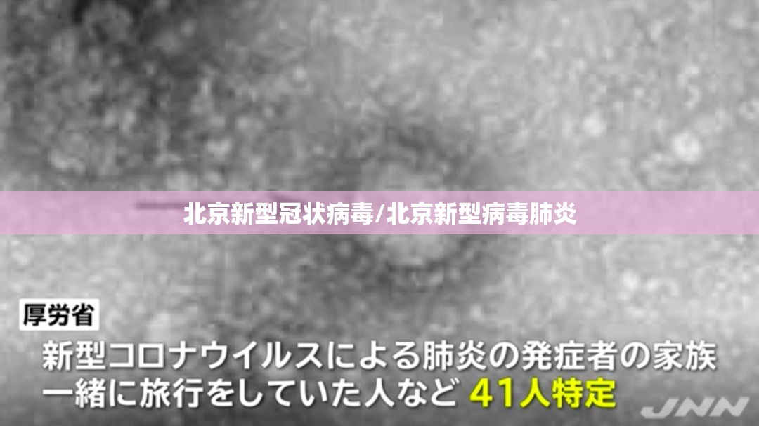 北京新型冠状病毒/北京新型病毒肺炎 北京新型冠状病毒/北京新型病毒肺炎