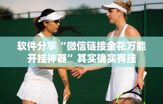 软件分享“微信链接金花万能开挂神器”其实确实有挂