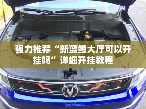 强力推荐“新蓝鲸大厅可以开挂吗”详细开挂教程