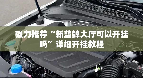 强力推荐“新蓝鲸大厅可以开挂吗”详细开挂教程
