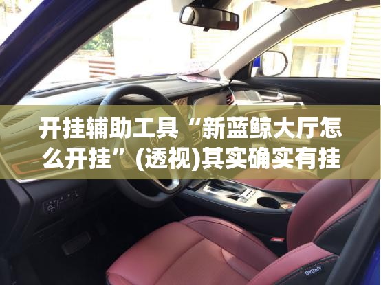 开挂辅助工具“新蓝鲸大厅怎么开挂	”(透视)其实确实有挂