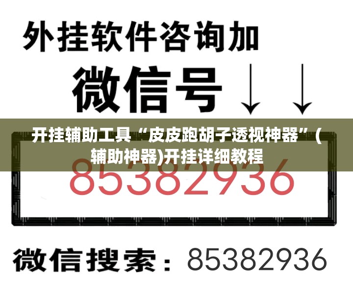 开挂辅助工具“皮皮跑胡子透视神器”(辅助神器)开挂详细教程