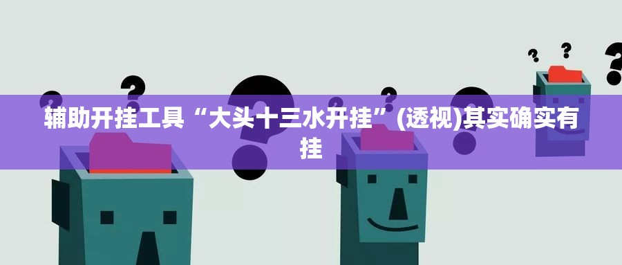 辅助开挂工具“大头十三水开挂	”(透视)其实确实有挂