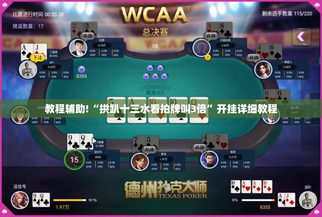 教程辅助!“拱趴十三水看拍牌叫3倍”开挂详细教程