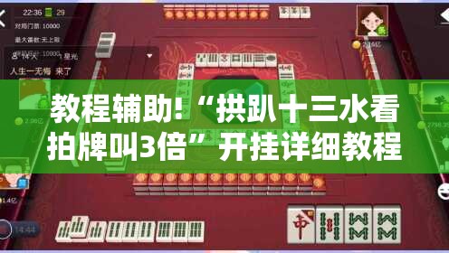 教程辅助!“拱趴十三水看拍牌叫3倍”开挂详细教程