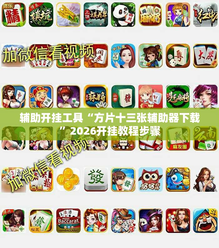 辅助开挂工具“方片十三张辅助器下载”2026开挂教程步骤