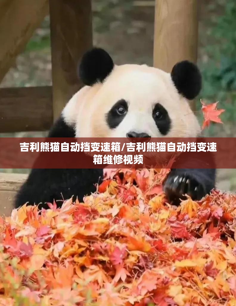 吉利熊猫自动挡变速箱/吉利熊猫自动挡变速箱维修视频 吉利熊猫自动挡变速箱/吉利熊猫自动挡变速箱维修视频