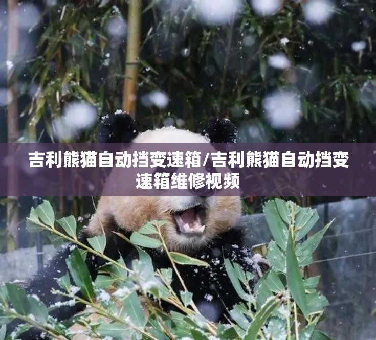 吉利熊猫自动挡变速箱/吉利熊猫自动挡变速箱维修视频 吉利熊猫自动挡变速箱/吉利熊猫自动挡变速箱维修视频