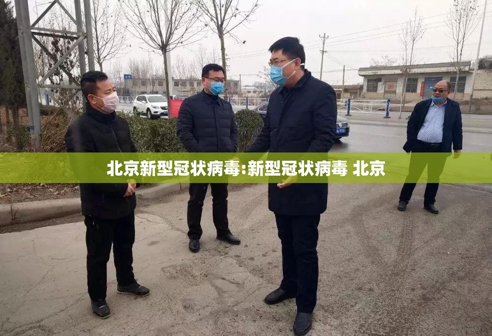北京新型冠状病毒:新型冠状病毒 北京