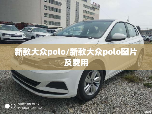 新款大众polo/新款大众polo图片及费用