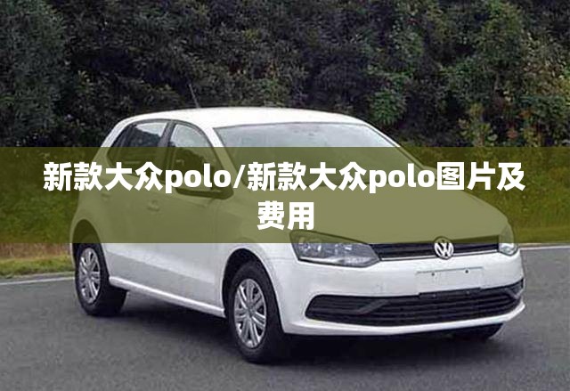 新款大众polo/新款大众polo图片及费用
