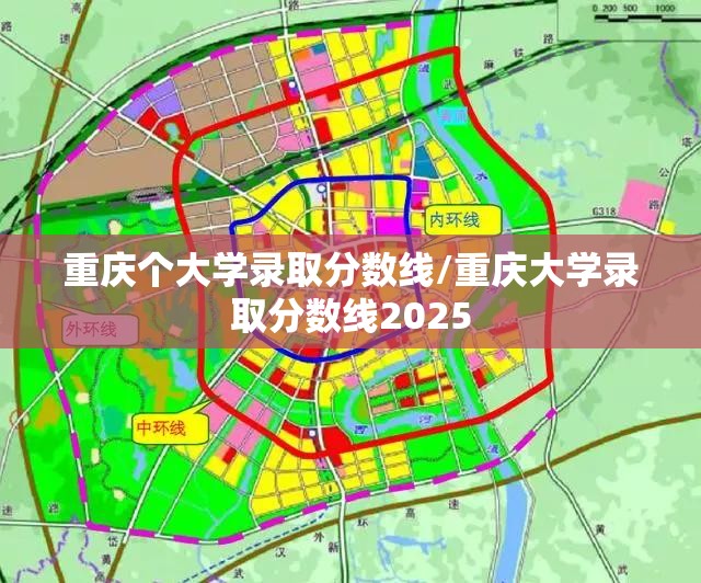重庆个大学录取分数线/重庆大学录取分数线2025 重庆个大学录取分数线/重庆大学录取分数线2025