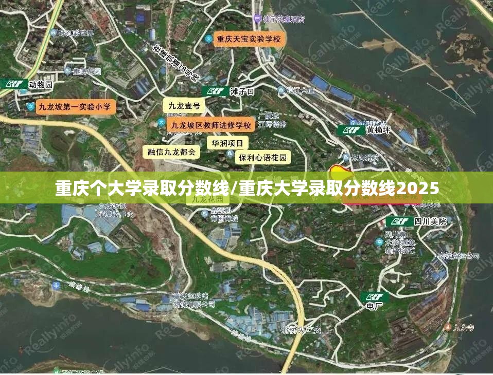 重庆个大学录取分数线/重庆大学录取分数线2025 重庆个大学录取分数线/重庆大学录取分数线2025