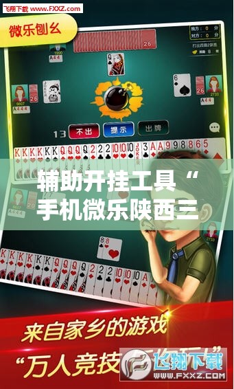 辅助开挂工具“手机微乐陕西三带怎么开挂”详细分享装挂步骤