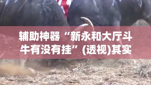 辅助神器“新永和大厅斗牛有没有挂	”(透视)其实确实有挂