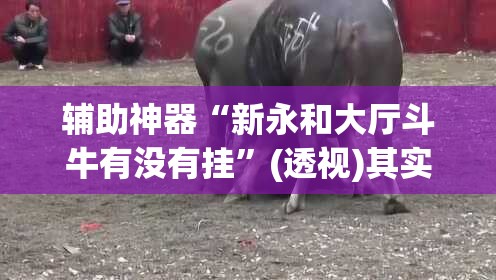 辅助神器“新永和大厅斗牛有没有挂”(透视)其实确实有挂