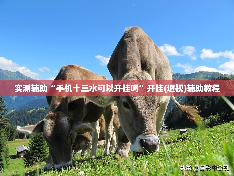 实测辅助“手机十三水可以开挂吗”开挂(透视)辅助教程