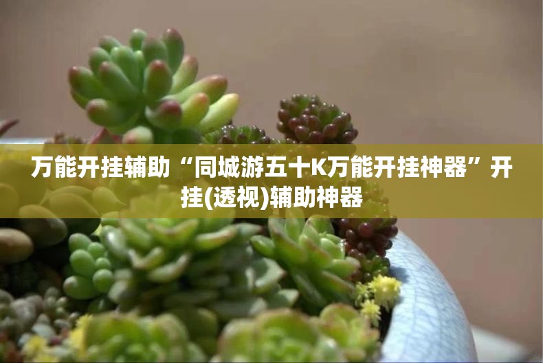 万能开挂辅助“同城游五十K万能开挂神器”开挂(透视)辅助神器