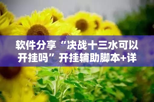 软件分享“决战十三水可以开挂吗”开挂辅助脚本+详细开挂安装教程
