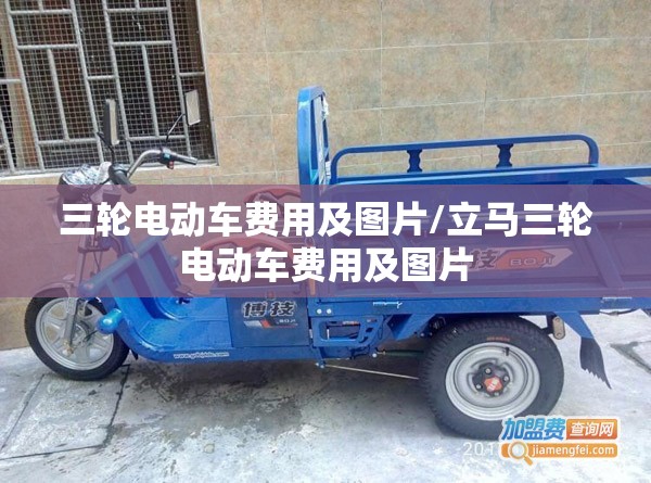 三轮电动车费用及图片/立马三轮电动车费用及图片 三轮电动车费用及图片/立马三轮电动车费用及图片