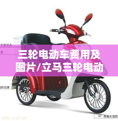 三轮电动车费用及图片/立马三轮电动车费用及图片 三轮电动车费用及图片/立马三轮电动车费用及图片