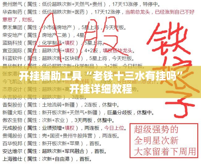 开挂辅助工具“老铁十三水有挂吗”开挂详细教程