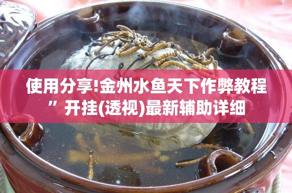 使用分享!金州水鱼天下作弊教程”开挂(透视)最新辅助详细