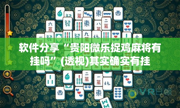 软件分享“贵阳微乐捉鸡麻将有挂吗”(透视)其实确实有挂