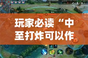 玩家必读“中至打炸可以作弊吗(透视)”开挂辅助脚本+详细开挂安装教程