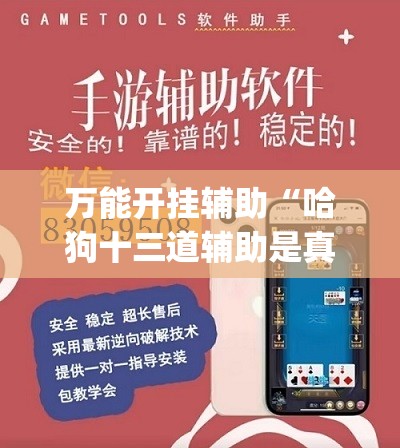 万能开挂辅助“哈狗十三道辅助是真的能用吗”开挂(透视)辅助教程