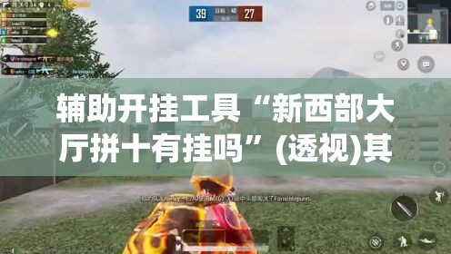 辅助开挂工具“新西部大厅拼十有挂吗	”(透视)其实确实有挂