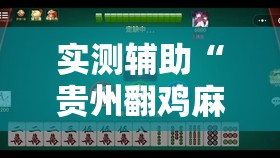 实测辅助“贵州翻鸡麻将到底有没有挂”细辅助教程分享