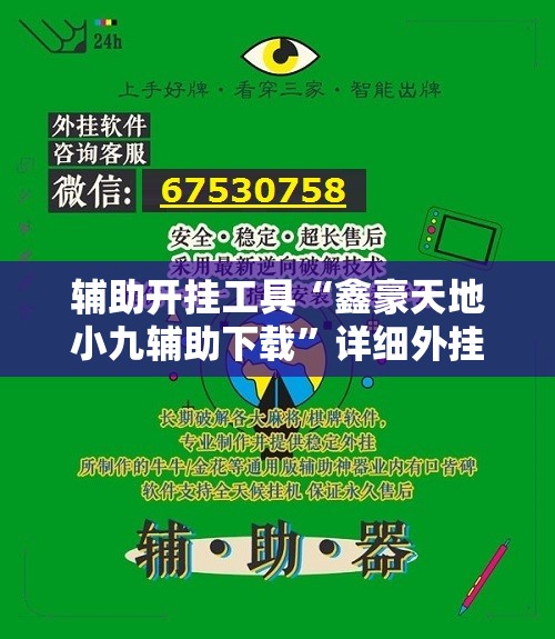 辅助开挂工具“鑫豪天地小九辅助下载”详细外挂透视辅助软件教程