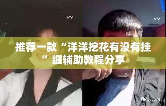 推荐一款“洋洋挖花有没有挂	”细辅助教程分享