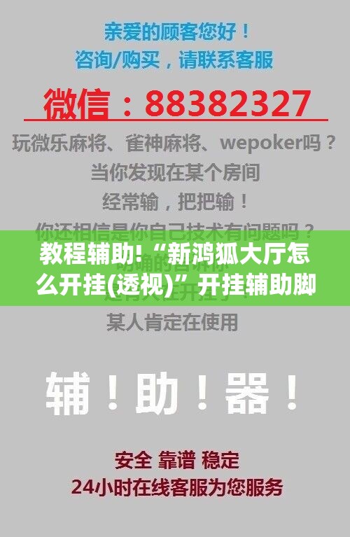 教程辅助!“新鸿狐大厅怎么开挂(透视)”开挂辅助脚本+详细开挂安装教程