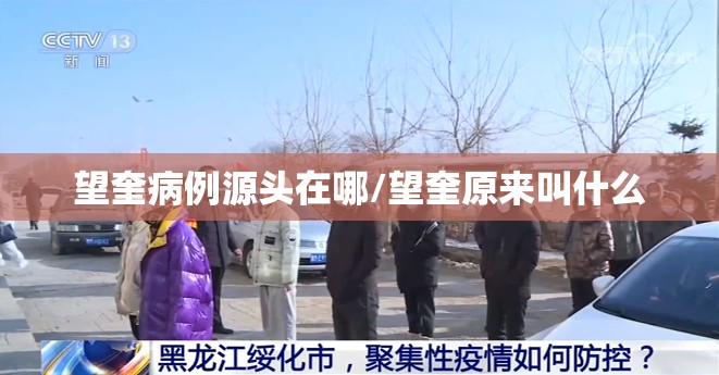 望奎病例源头在哪/望奎原来叫什么 望奎病例源头在哪/望奎原来叫什么