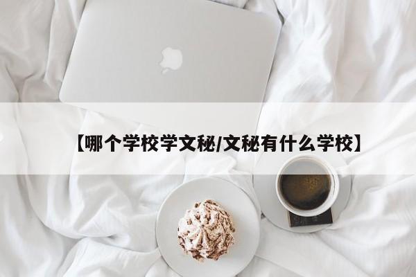 【哪个学校学文秘/文秘有什么学校】