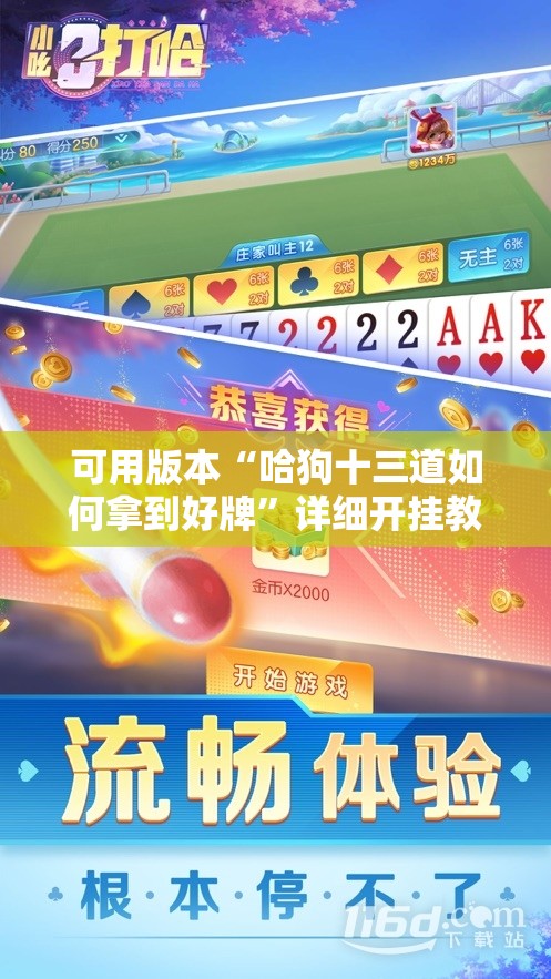 可用版本“哈狗十三道如何拿到好牌”详细开挂教程