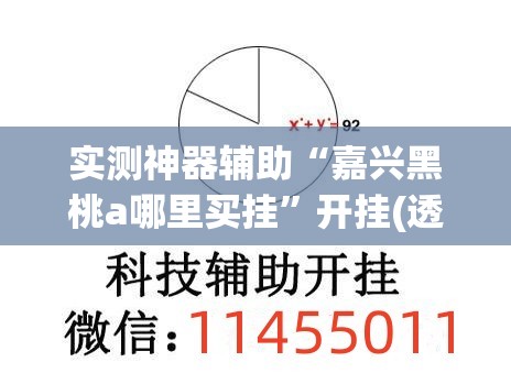 实测神器辅助“嘉兴黑桃a哪里买挂	”开挂(透视)最新辅助详细