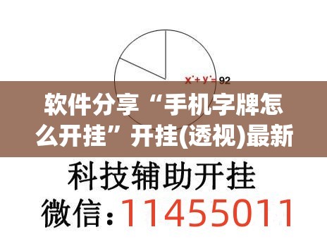 软件分享“手机字牌怎么开挂”开挂(透视)最新辅助详细