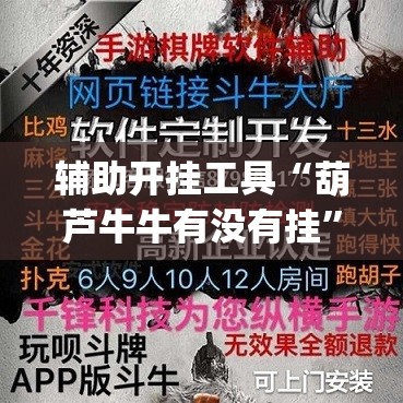 辅助开挂工具“葫芦牛牛有没有挂”(透视挂)辅助下载教程