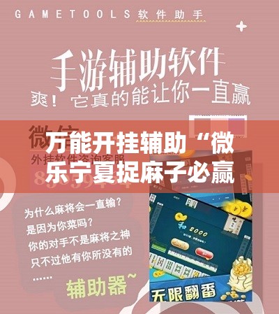 万能开挂辅助“微乐宁夏捉麻子必赢神器”详细外挂透视辅助软件教程