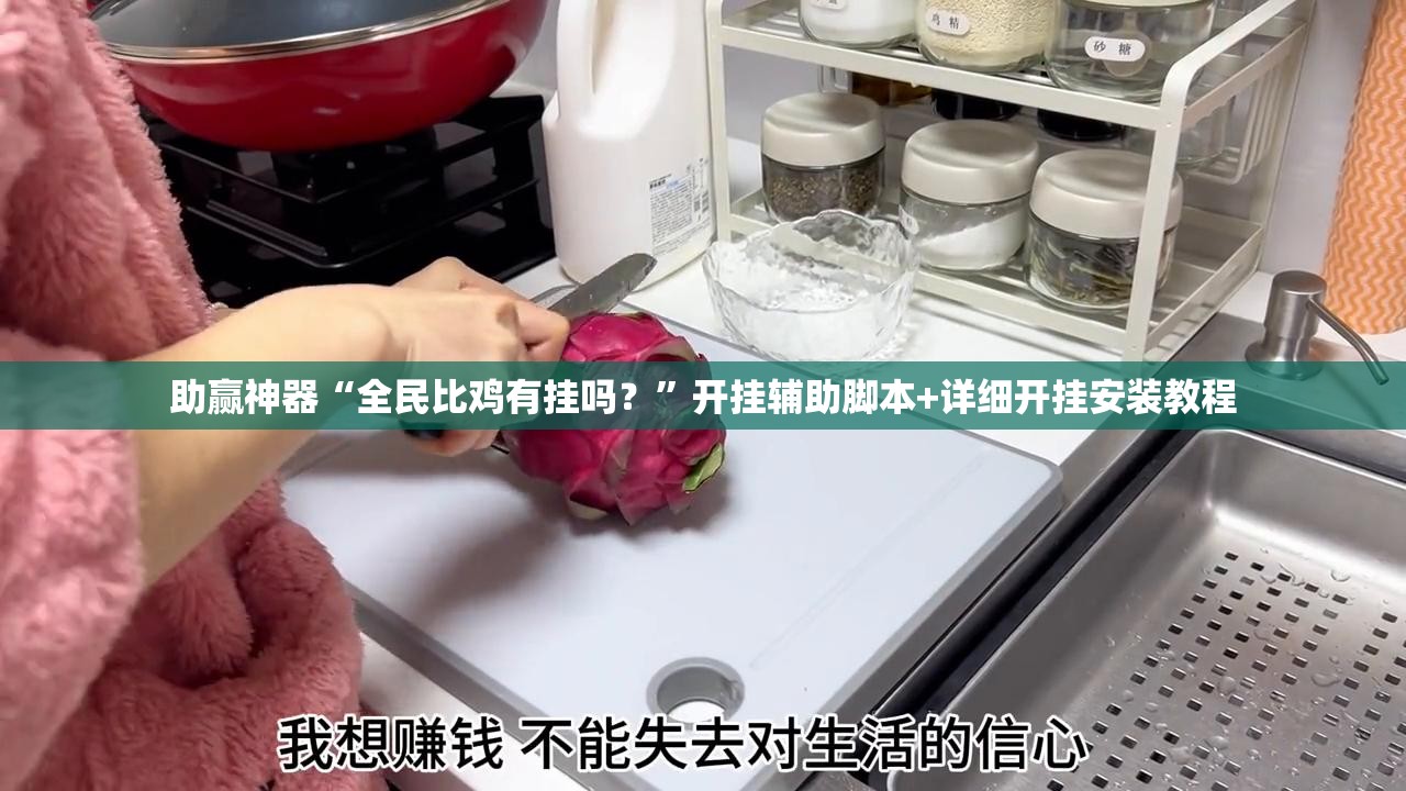 助赢神器“全民比鸡有挂吗？”开挂辅助脚本+详细开挂安装教程