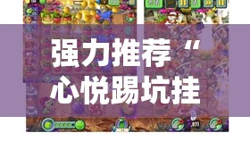 强力推荐“心悦踢坑挂下载免费”详细分享装挂步骤