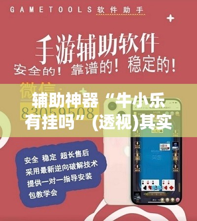 辅助神器“牛小乐有挂吗	”(透视)其实确实有挂